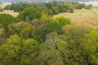 Tbd 20.83 +- Vzcr 1118, Grand Saline, TX 75140 - Photo 7