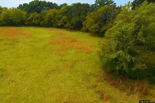 Tbd 20 83 +- Vzcr 1118, Grand Saline, TX 75140 - Photo 1
