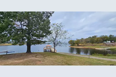 434 Geronimo, Quitman, TX 75783 - Photo 43