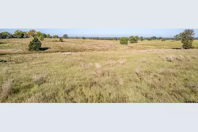 000 Cr 4331, LaRue, TX 75770 - Photo 7