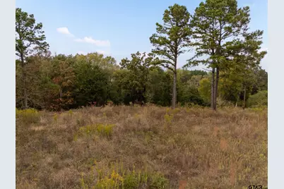 2173 Highland Place, Whitehouse, TX 75791 - Photo 9