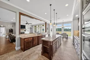 2621 Anderson County Rd 2212, Palestine, TX 75803 - Photo 15