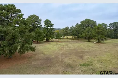 19418 County Road 4125, Lindale, TX 75771 - Photo 9