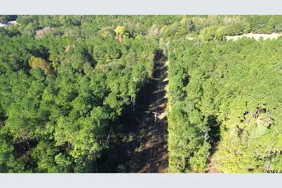 Tbd Cr 2265, Grapeland, TX 75844 - Photo 7