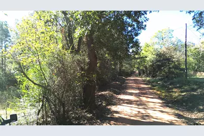 Tbd Cr 2265, Grapeland, TX 75844 - Photo 15