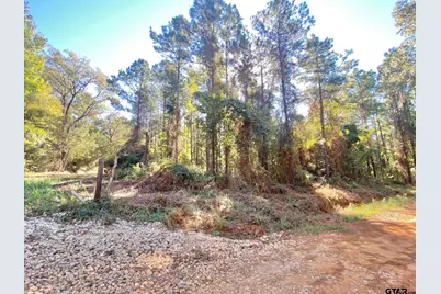 Tbd Cr 2265, Grapeland, TX 75844 - Photo 23