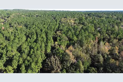 Tbd Cr 2265, Grapeland, TX 75844 - Photo 9