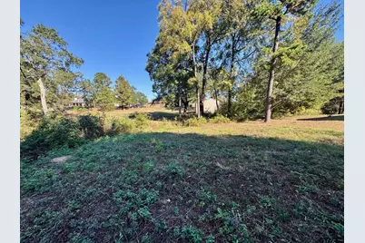 Lot 18 County Road 1216, Pittsburg, TX 75686 - Photo 7