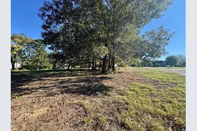 Lot 18 County Road 1216, Pittsburg, TX 75686 - Photo 3