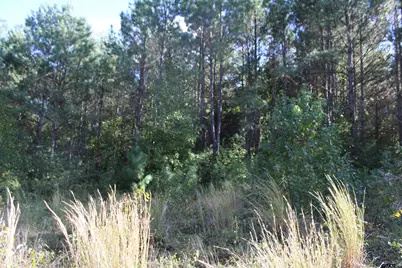 Tbd Cr 1508 - 37.4 Acres, Jacksonville, TX 75766 - Photo 11