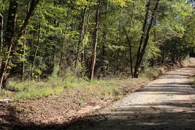 Tbd Cr 1508 - 37.4 Acres, Jacksonville, TX 75766 - Photo 15