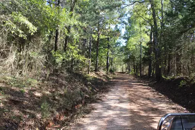 Tbd Cr 1508 - 37.4 Acres, Jacksonville, TX 75766 - Photo 13