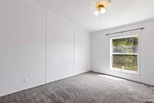 16193 S County Road 3167, Mt Enterprise, TX 75681 - Photo 19