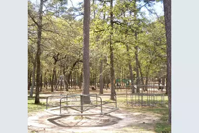 142 Pine Cone Glen, Holly Lake Ranch, TX 75765 - Photo 21