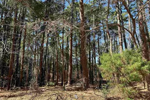 1473 Red Bud Cir, Bullard, TX 75757 - Photo 1