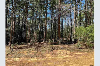 1473 Red Bud Circle, Bullard, TX 75757 - Photo 3