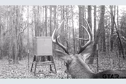 5000 Fm 315 S, Chandler, TX 75758 - Photo 29