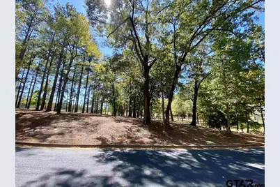 Lot 28 Leisure Ln, Frankston, TX 75763 - Photo 3