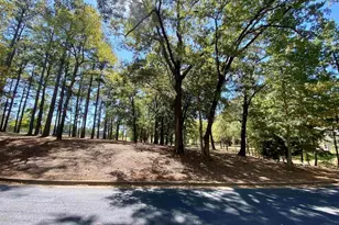 Lot 28 Leisure Ln, Frankston, TX 75763 - Photo 3