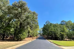 Lot 27 Leisure Ln, Frankston, TX 75763 - Photo 5