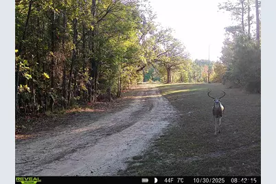 3299 Cr 1579-2, Avinger, TX 75630 - Photo 37