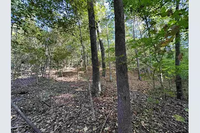Tbd Cr 1707, Jacksonville, TX 75766 - Photo 17