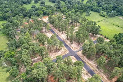 12141 Stephanie Ln, Flint, TX 75762 - Photo 5