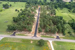 12159 Pinecrest Dr, Flint, TX 75762 - Photo 1