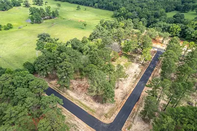 12172 Suzanne Ln, Flint, TX 75762 - Photo 19