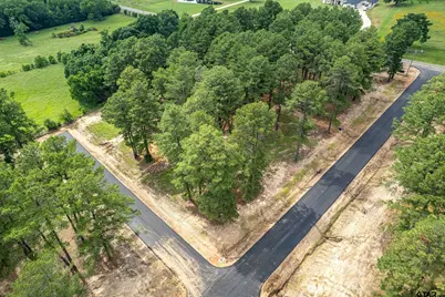 12022 Pinecrest Dr, Flint, TX 75762 - Photo 17