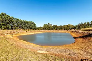 3493 S Fm 17, Alba, TX 75410 - Photo 21