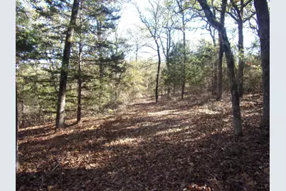 555 and 559 Holly Glen, Murchison, TX 75778 - Photo 15