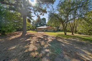 17036 & 17092 Fm 317, Chandler, TX 75758 - Photo 3