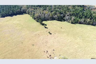 485 Pr 6142, Grapeland, TX 75844 - Photo 13