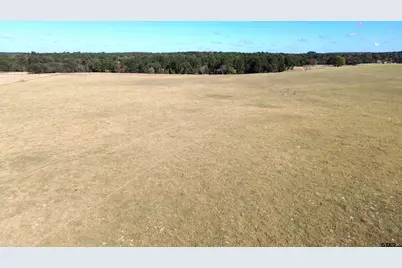 485 Pr 6142, Grapeland, TX 75844 - Photo 17