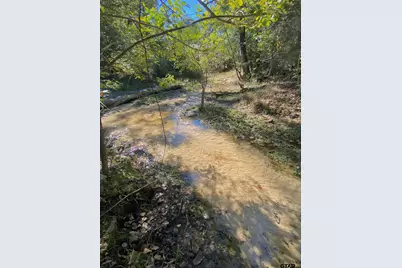 485 Pr 6142, Grapeland, TX 75844 - Photo 5
