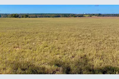 485 Pr 6142, Grapeland, TX 75844 - Photo 27