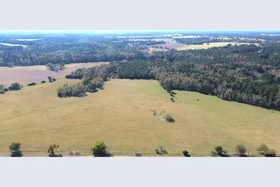 485 Pr 6142, Grapeland, TX 75844 - Photo 1