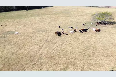 485 Pr 6142, Grapeland, TX 75844 - Photo 15