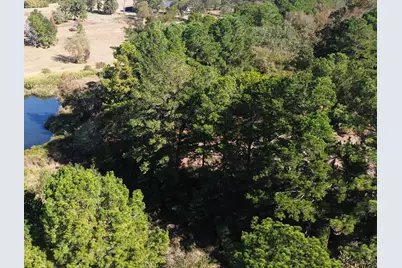 485 Pr 6142, Grapeland, TX 75844 - Photo 19