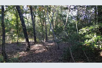 000 Cr 4330, LaRue, TX 75770 - Photo 5