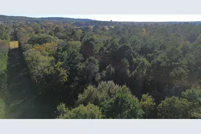 000 Cr 4330, LaRue, TX 75770 - Photo 9