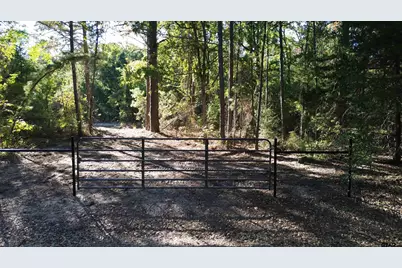 000 Cr 4330, LaRue, TX 75770 - Photo 3