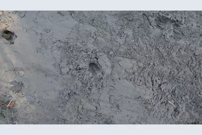 000 Cr 4330, LaRue, TX 75770 - Photo 11