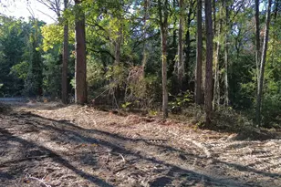 000 Cr 4330, LaRue, TX 75770 - Photo 1