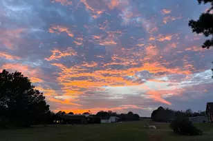 Lot 166 Kitty Hawk Dr, Frankston, TX 75763 - Photo 7