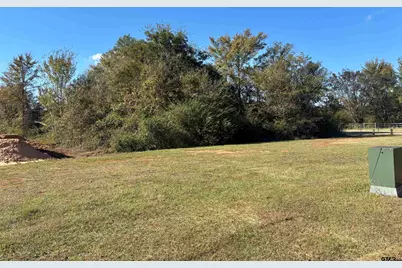 Lot 166 Kitty Hawk Dr., Frankston, TX 75763 - Photo 3