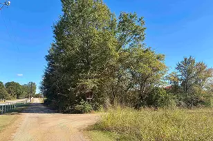 Lot 166 Kitty Hawk Dr, Frankston, TX 75763 - Photo 1