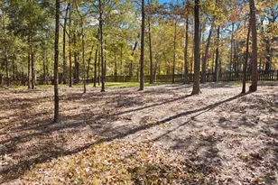 153 County Rd 2433, Pittsburg, TX 75686 - Photo 37