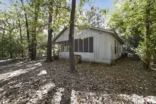 405 Evening Shadows, Holly Lake Ranch, TX 75765 - Photo 9